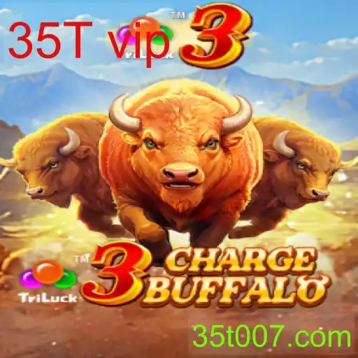 3ChargeBuffalo